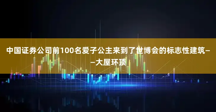 中国证券公司前100名爱子公主来到了世博会的标志性建筑——大屋环顶