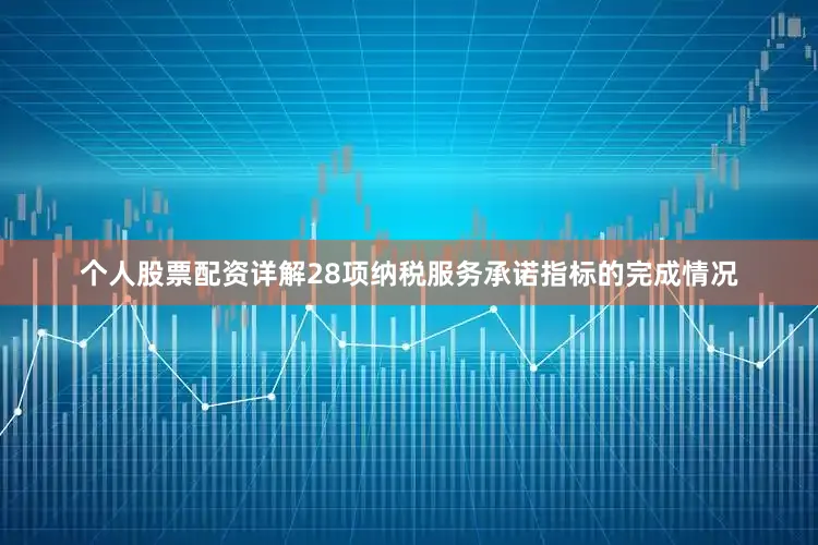 个人股票配资详解28项纳税服务承诺指标的完成情况