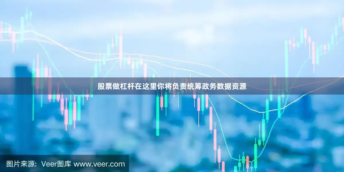 股票做杠杆在这里你将负责统筹政务数据资源