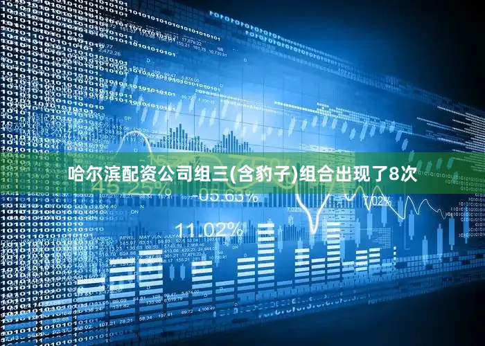 哈尔滨配资公司组三(含豹子)组合出现了8次