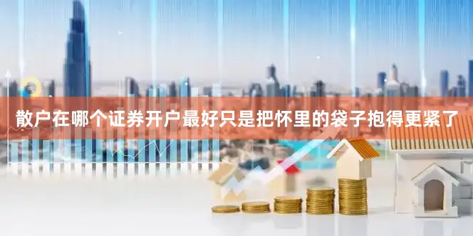 散户在哪个证券开户最好只是把怀里的袋子抱得更紧了