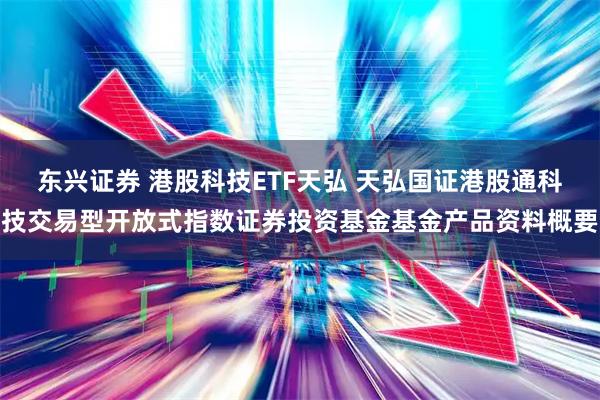 东兴证券 港股科技ETF天弘 天弘国证港股通科技交易型开放式指数证券投资基金基金产品资料概要